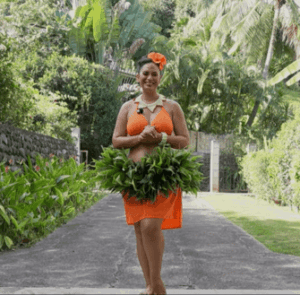 Semaine 2 – Niveau 2