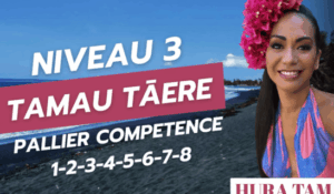 6-Tāmau tāere – Niveau 3