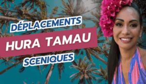 3-Nos déplacements scéniques